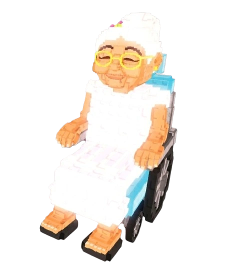 Вхеелчаир Гранни / Wheelchair Granny